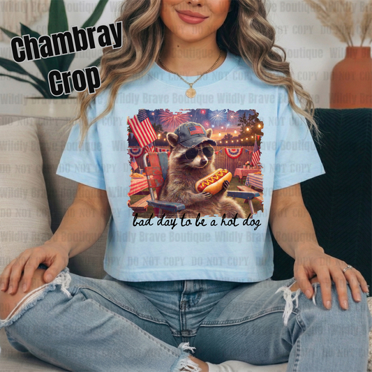 Raccoon Bad Day  Graphic