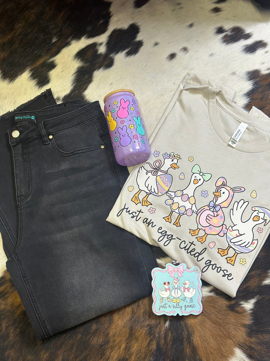 Egg-sited Goose T-shirt