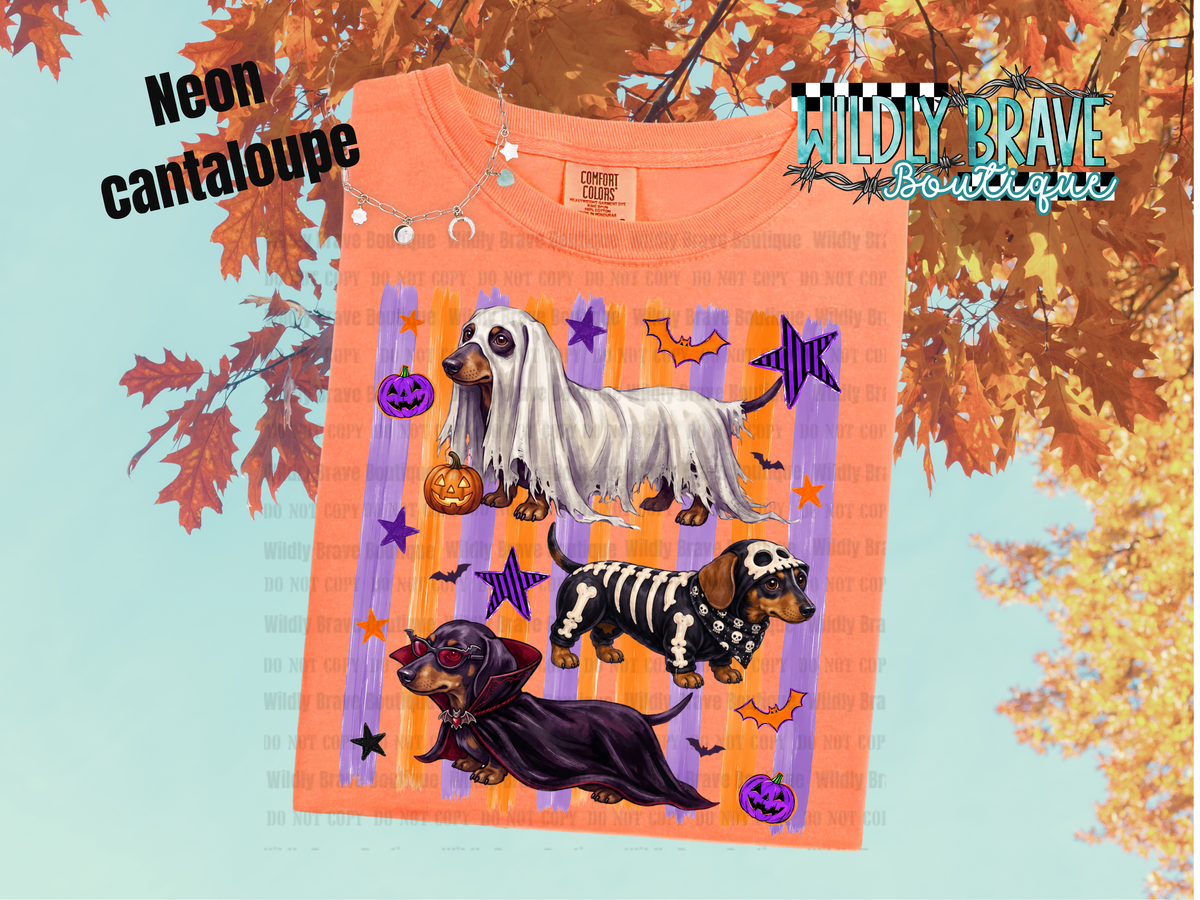 Hallowdogs Graphic Tee (Copy)